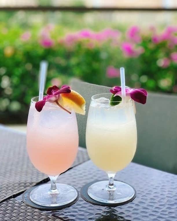Trump Waikikiさんのインスタグラム写真 - (Trump WaikikiInstagram)「Cheers to sunny days and refreshing summer drinks! 🍹 Photo Credit: @sunflower_2311」7月12日 2時37分 - trumpwaikiki