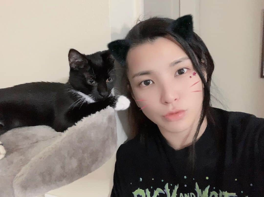 志田光さんのインスタグラム写真 - (志田光Instagram)「‪With kitty. #kitty #cat #cute #app #猫のいる暮らし #prowrestler #hikarushida」7月12日 13時28分 - shidahikaru