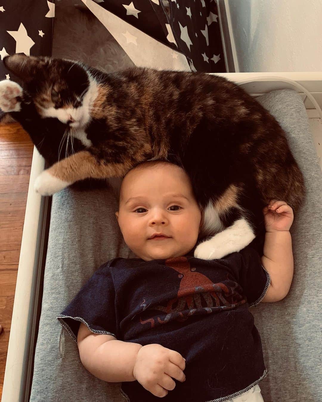 カティ・ショーのインスタグラム：「some #babies and #cats for your TL, you’re welcome. 🥰」