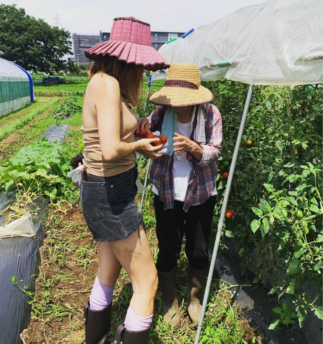 安西こずえさんのインスタグラム写真 - (安西こずえInstagram)「楽しい収穫🍅🍆🥬 気持ちぃ〜🌞😍 お母さんもぐのはやっ💦」7月12日 13時41分 - cozcozrin