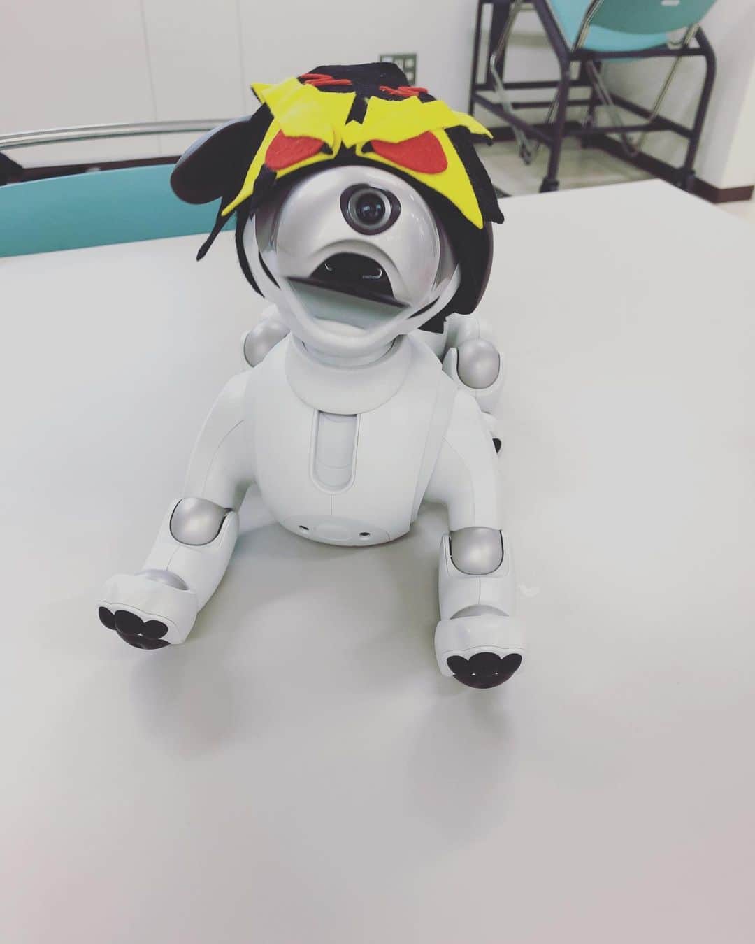 のインスタグラム：「ゼロワン38話観てくださった皆さんありがとうございました！ 可愛すぎましたaibo。 ゼロワン仕様のaibo。 家にいて欲しいなあ。」