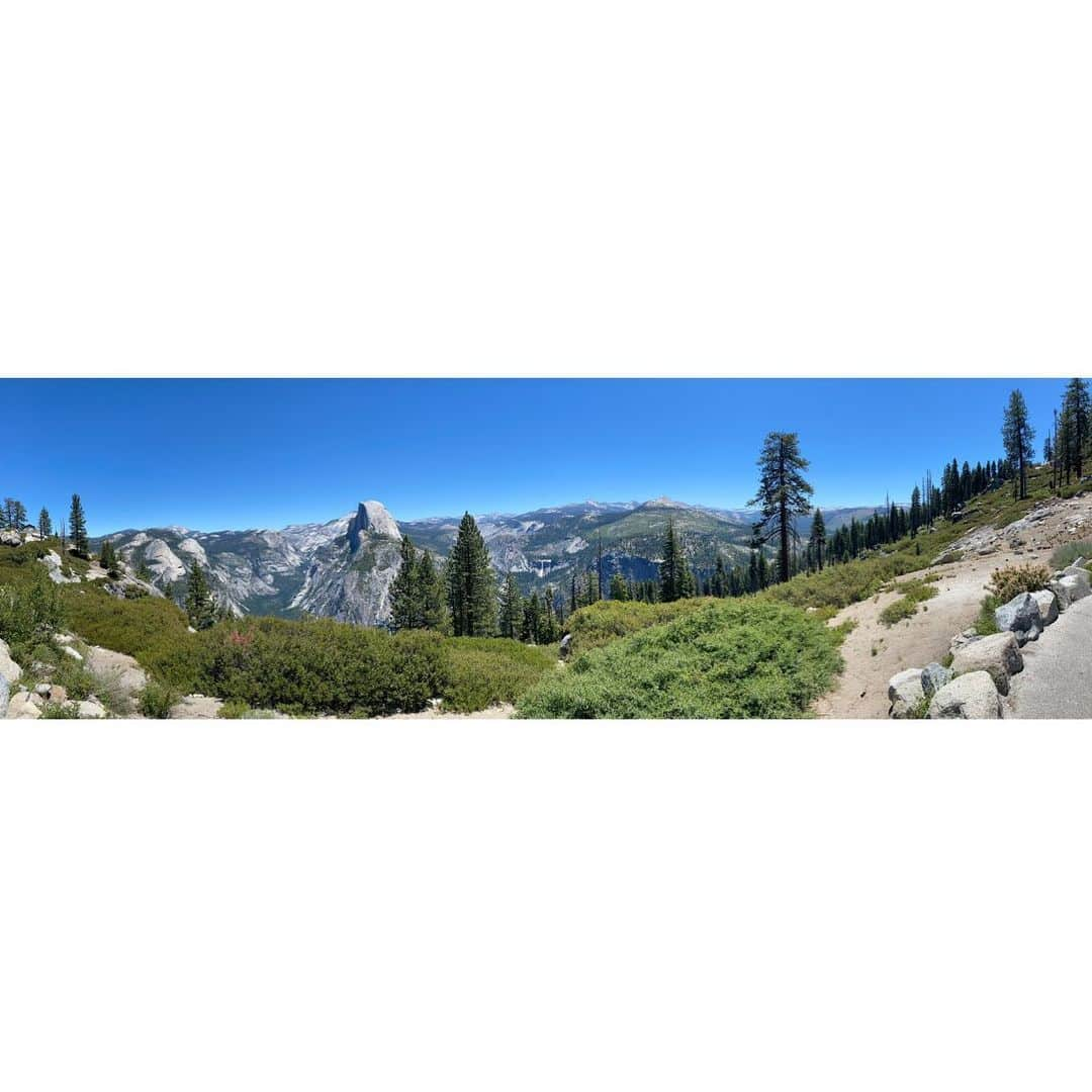 イヴォンヌ・ストラホフスキーさんのインスタグラム写真 - (イヴォンヌ・ストラホフスキーInstagram)「#yosemitenationalpark #viewsfordays #🌲」7月12日 14時12分 - yvonnestrahovski