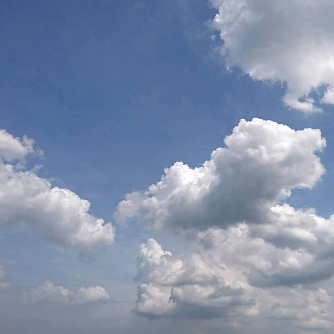 くぼてんきさんのインスタグラム写真 - (くぼてんきInstagram)「晴れてるけどモクモク  #天気の急変に注意 #東京都心32.5℃ #今年2番目の暑さ #2日連続の真夏日」7月12日 14時44分 - kubotenki