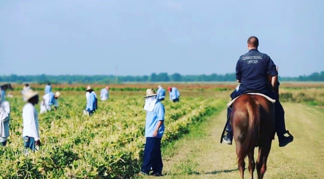 のインスタグラム：「American Slavery, Reinvented The Thirteenth Amendment forbade slavery and involuntary servitude, “except as punishment for crime whereof the party shall have been duly convicted.”  WHITNEY BENNS SEPTEMBER 21, 2015 @theatlantic   Crops stretch to the horizon. Black bodies pepper the landscape, hunched over as they work the fields. Officers on horseback, armed, oversee the workers.  To the untrained eye, the scenes in Angola for Life: Rehabilitation and Reform Inside the Louisiana State Penitentiary, an Atlantic documentary filmed on an old Southern slave-plantation-turned-prison, could have been shot 150 years ago. The imagery haunts, and the stench of slavery and racial oppression lingers through the 13 minutes of footage. .  The film tells two overlapping stories: One is of accomplishment against incredible odds, of a man who stepped into the most violent maximum-security prison in the nation and gave the men there—discarded and damned—what society didn’t: hope, education, and a moral compass. Burl Cain, the warden of Angola Prison, which is in Louisiana, has created a controversial model for rehabilitation. Through work and religion, they learn to help each other, and try to become better fathers to their children on the outside. Perhaps the lucky few even find redemption.  But there is a second storyline running alongside the first, which raises disquieting questions about how America treats those on the inside as less than fully human. Those troubling opening scenes of the documentary offer visual proof of a truth that America has worked hard to ignore: In a sense, slavery never ended at Angola; it was reinvented. .  Some viewers of the video might be surprised to learn that inmates at Angola, once cleared by the prison doctor, can be forced to work under threat of punishment as severe as solitary confinement. Legally, this labor may be totally uncompensated; more typically inmates are paid meagerly—as little as two cents per hour—for their full-time work in the fields, manufacturing warehouses, or kitchens. How is this legal? Didn’t the Thirteenth Amendment abolish all forms of slavery and involuntary servitude in this country? .  #abolishprisons」
