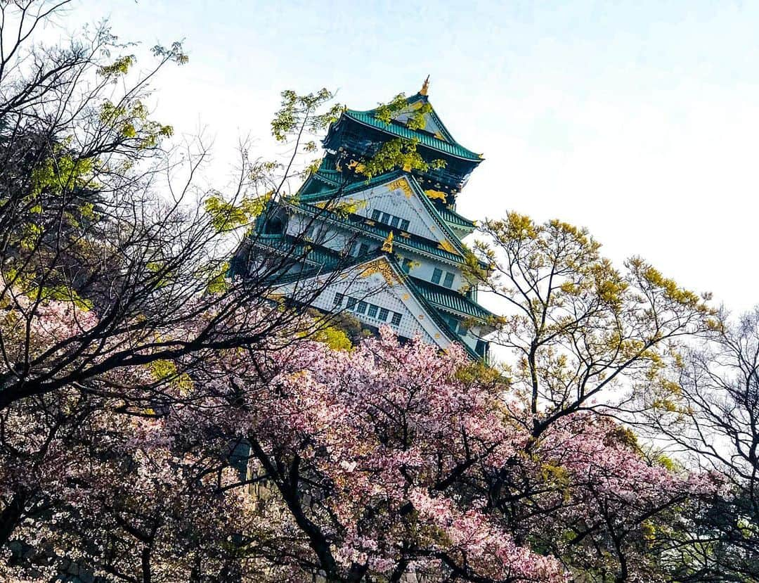 ショーン・ラビットさんのインスタグラム写真 - (ショーン・ラビットInstagram)「It’s hot outside ☀️ so I’m sitting inside with the AC on and letting my mind escape to its happy place; Japan. 🏯😍 お外は38°、だから部屋の中エアコンと一緒にいて、日本を夢見ていて幸せになりました。🥰 📍Okayama Castle, March 2018 . . . . . . . . #figureskating  #travelphotography  #training  #foodie  #fitfam  #travel  #flowers  #photography  #ootd  #model  #japan  #castle #mensfashion #フィギュアスケート  #トレーニング  #筋肉  #筋トレ  #花のある暮らし   #イケメン  #ファッション  #カメラ好きな人と繋がりたい  #コーディネート  #おしゃれさんと繋がりたい  #今日の服  #いいね返し  #インスタ映え  #可愛い  #日本  #おはよう #岡山」7月12日 7時00分 - seanrabbitt