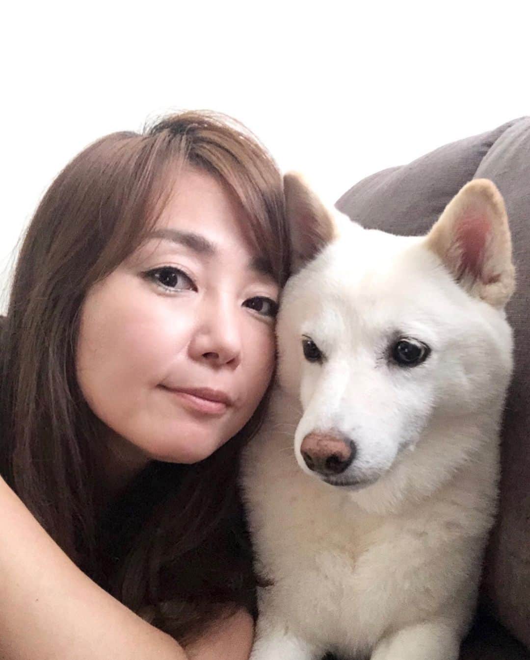 吉永愛さんのインスタグラム写真 - (吉永愛Instagram)「おはよう☀朝から女子トーク❤️ ゆきちゃん…ベー👅😂 今日はゆる〜く参りますぅ✨ #柴犬 #白柴 #チワワ #dog #dogstagram #dogsofinstagram  #doglife #犬好き　#犬好きな人と繋がりたい #癒し #食いしん坊 #ママモデル」7月12日 7時41分 - a.i.yy