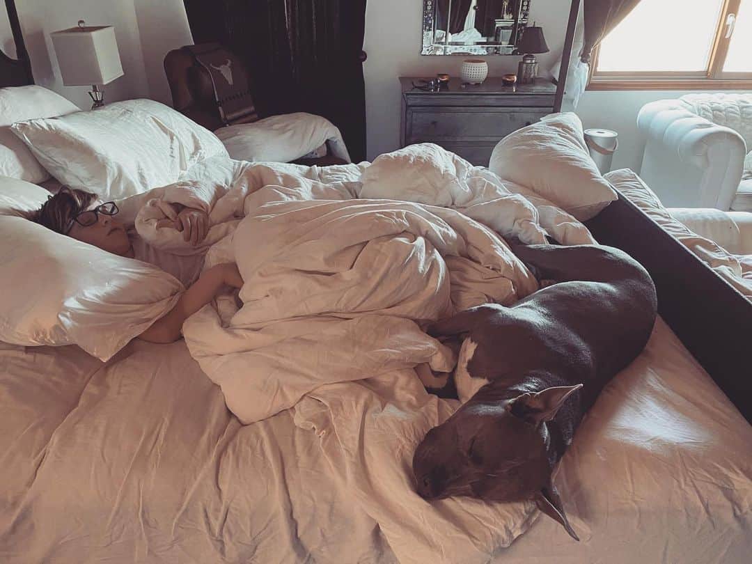 ホリー・マリー・コームズのインスタグラム：「While mommy gets some work done ... siestas happen in mommy’s bed ... it’s kinda ... cute. Also kinda bullshite.」