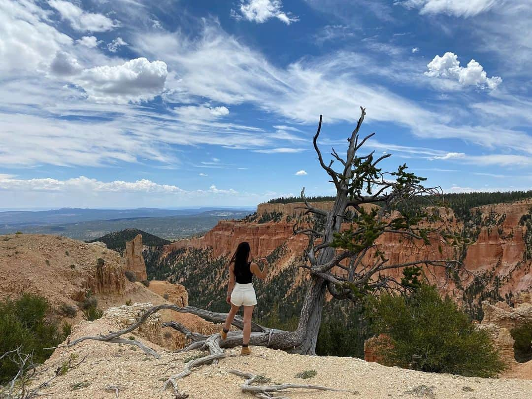 ジャネル・パリッシュさんのインスタグラム写真 - (ジャネル・パリッシュInstagram)「We stopped in beautiful Bryce Canyon and it took our breath away」7月12日 8時33分 - janelparrish