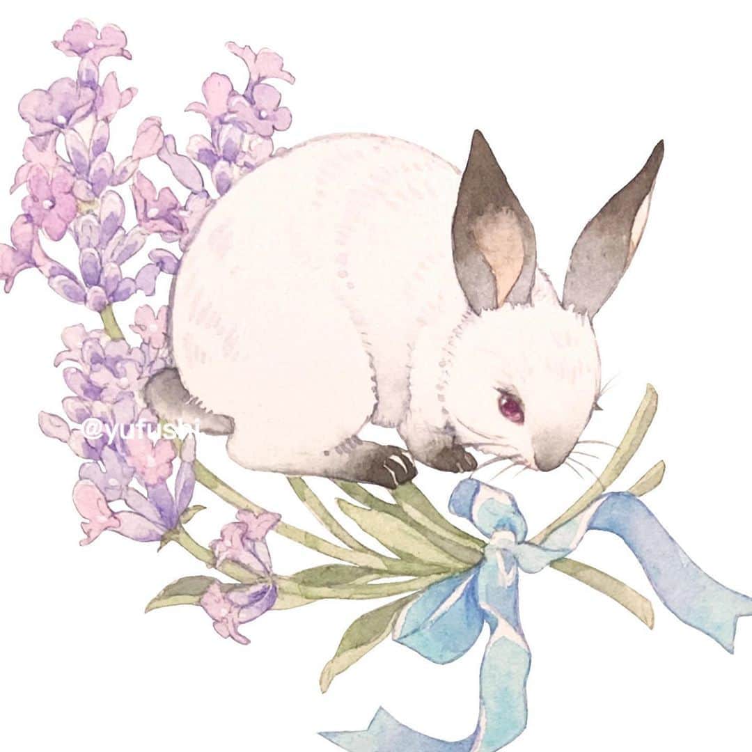 友風子/yufushiさんのインスタグラム写真 - (友風子/yufushiInstagram)「ラベンダーうさぎ  #illustration #watercolor #イラスト #水彩 #うさぎ #rabbit #ラベンダー #lavender」7月12日 9時00分 - uko_yufushi
