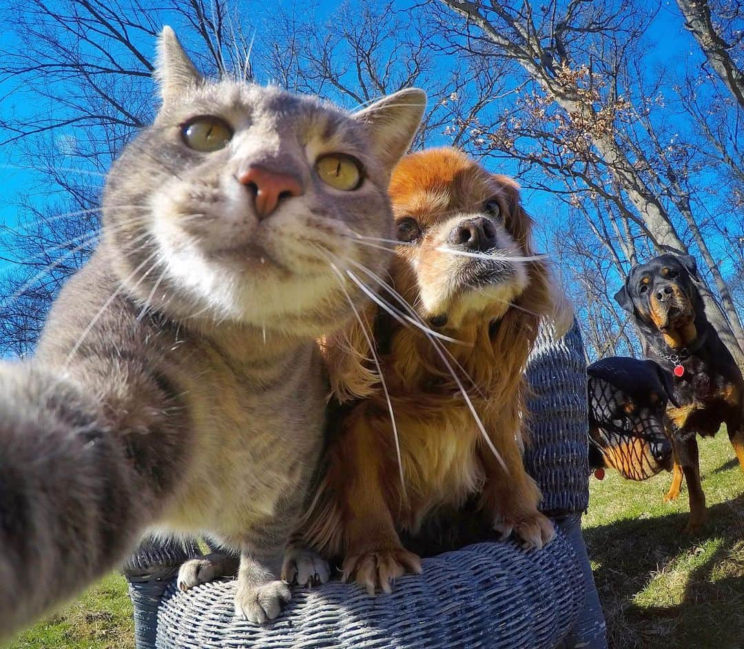 マニーさんのインスタグラム写真 - (マニーInstagram)「😼 Creepers  #GoPro #tbt」7月12日 9時06分 - yoremahm