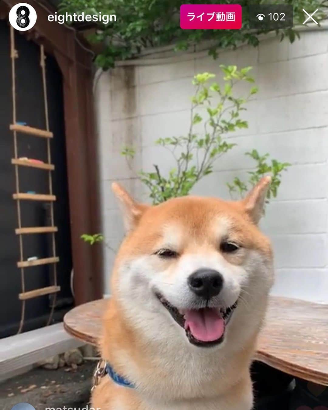 EIGHT DESIGNのグルメインスタ