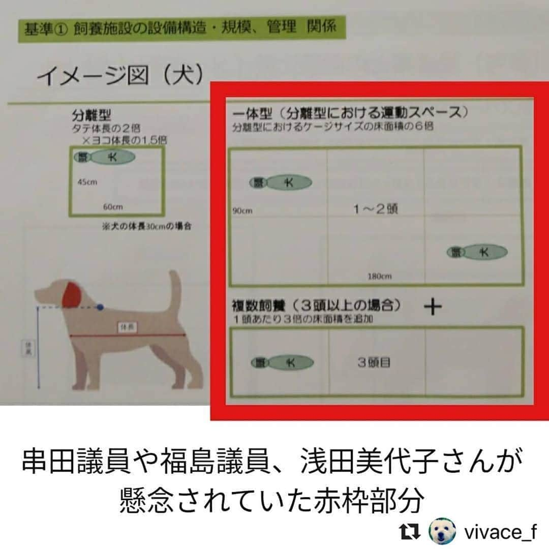 二階堂ふみさんのインスタグラム写真 - (二階堂ふみInstagram)「10日に行われた検討会の内容をまとめてくださった投稿を、リポストさせて頂きます！ @vivace_f さん、ありがとうございます。  #Repost @vivace_f with @make_repost ・・・ 結論から言うと、石山恒氏が提示していた虐待レベルの数値規制案は却下されました🎉 . 皆様のハガキアクションやメールアクションのおかげで、検討会委員も前回より活発に議論されていました。 . 環境省はかなり改善された数値を提示してくださいましたが、まだまだ改善すべき点があります。 . 【今回の素案で⭕な点】 . ⭕ケージの大きさ (犬) タテ体長２倍 × ヨコ体長1.5倍 × 高さ体高２倍 (猫) タテ体長２倍 × ヨコ体長1.5倍 × 高さ体高３倍 (猫が上下運動できるように、棚を設け２段以上の構造とする) . ⭕運動スペースの確保 ３時間以上、スペースに出して運動させる . ⭕自治体がチェックしやすい統一的な基準を設定。事業者に対して自治体がレッドカードを出しやすい明確な基準とする . ⭕床材として金網の使用禁止 . ⭕温度計・湿度計の設置 . ⭕臭気により環境を損なわないように清潔を保つことを義務付け . ⭕自然光や照明による日照サイクルの確保の義務付け . ⭕定期的な獣医師の健康診断の義務付け . ⭕長時間展示を行う場合は６時間おきに休憩 . ⭕帝王切開は、実施した獣医師による出生証明書の交付を受けることを義務付け . ⭕被毛や爪が不適切な状態で放置しないこと . ⭕散歩や遊具を用い、人と触れ合うことを義務付ける . 【今回の素案で❌な点】 ❌メスの交配は６歳まで (満７歳未満) ただし、生涯出産回数が少ない個体は交配終了年齢を７歳とする . ❌やむを得ない帝王切開ではなく “計画的な帝王切開” について、上限回数が示されていない . ❌オスの繁殖制限や引退時期について、一切明記されていない . ❌従業員数が少ない 従業員１人あたり繁殖犬15頭、販売犬20頭まで 従業員１人あたり繁殖猫25頭、販売猫30頭まで . ❌犬のケージ内の複数飼養の例が示されているが、床面積が少なく、喧嘩やストレスの危険性もある . ❌猫のケージの高さが、理想の180cmに届かない . 急遽、夏中に再び検討会を予定しているとのこと。 福島みずほ議員は ｢この間に、もう１度議論を詰めてみる！｣ と言ってくださり、串田誠一議員からは ｢繁殖回数が多いと思うならば、“素案の繁殖回数は多い。上限〇回にすべき” と今までどおりハガキアクションを起こして｣ とアドバイスをいただきました。 . 次の検討会や動物愛護部会が開催される前に、再度ハガキアクションとメールアクションをしていただけると大変助かります🙇🏻 (記入例は、スワイプして２枚目の画像を参考になさってください) 小泉大臣・環境省の長田室長・検討会委員の７名へ、送ってください🙏🏻 お時間が無い方は小泉大臣と長田室長だけでも効果的です。 ご自身のお名前や住所は、必ずしも書く必要はありません (ちなみに私はガッツリ書いてます)。 . 📨 メールの送り先 📨 . 【環境省 動物愛護管理室】 moe@env.go.jp . 📮 ハガキの送り先 📮 . 【小泉進次郎 環境大臣】 〒100-8981 東京都千代田区永田町2-2-1 衆議院第一議員会館 314号室 ⚠️数値規制に関する全ての決定権を持っている。 . 【環境省 動物愛護管理室／長田 啓室長】 〒100-8975 東京都千代田区霞が関1-2-2 中央合同庁舎５号館 自然環境局 総務課 動物愛護管理室 ⚠️長田室長は ｢数値規制｣ を取りまとめるキーパーソン。 . 【数値規制の検討会委員７名】 ❶ 〒113-8657 東京都文京区弥生1-1-1 東京大学大学院 農学生命科学研究科 武内ゆかり 教授 ⚠️検討会の進行役。動物愛護部会のメンバーでもある。 . ❷ 〒130-8606 東京都墨田区江東橋3-3-7 一般財団法人 自然環境研究センター 戸田光彦 主席研究員 . ❸ 〒180-8602 東京都武蔵野市境南町1-7-1 日本獣医生命科学大学 獣医学部 獣医保健看護学科 水越美奈 准教授 ⚠️動物愛護部会のメンバーでもある。 . ❹ 〒108-8345 東京都港区三田2-15-45 慶應義塾大学大学院 法務研究科 磯部 哲 教授 . ❺ 〒120-0045 東京都足立区千住桜木2-2-1 帝京科学大学 生命環境学部 アニマルサイエンス学科 加隈良枝 准教授 . ❻ 〒391-0112 長野県諏訪郡原村17217-118 八ヶ岳中央農業実践大学校 佐藤衆介 畜産部長 . ❼ 〒160-0022 東京都新宿区新宿1-6-11 水野ビル６階 渋谷総合法律事務所 渋谷 寛 所長 . #世界基準の数値規制 #動物のための数値規制を #数値規制 #ハガキアクション #私たちにできること #SNSでできること #ペットショップに行く前に #里親になろう #犬猫適正飼養推進協議会 #マースジャパン #環境省 #小泉進次郎 @christeltakigawa #保護犬 #いぬ #愛犬 #わんこ #わんすたぐら」7月12日 9時19分 - fumi_nikaido