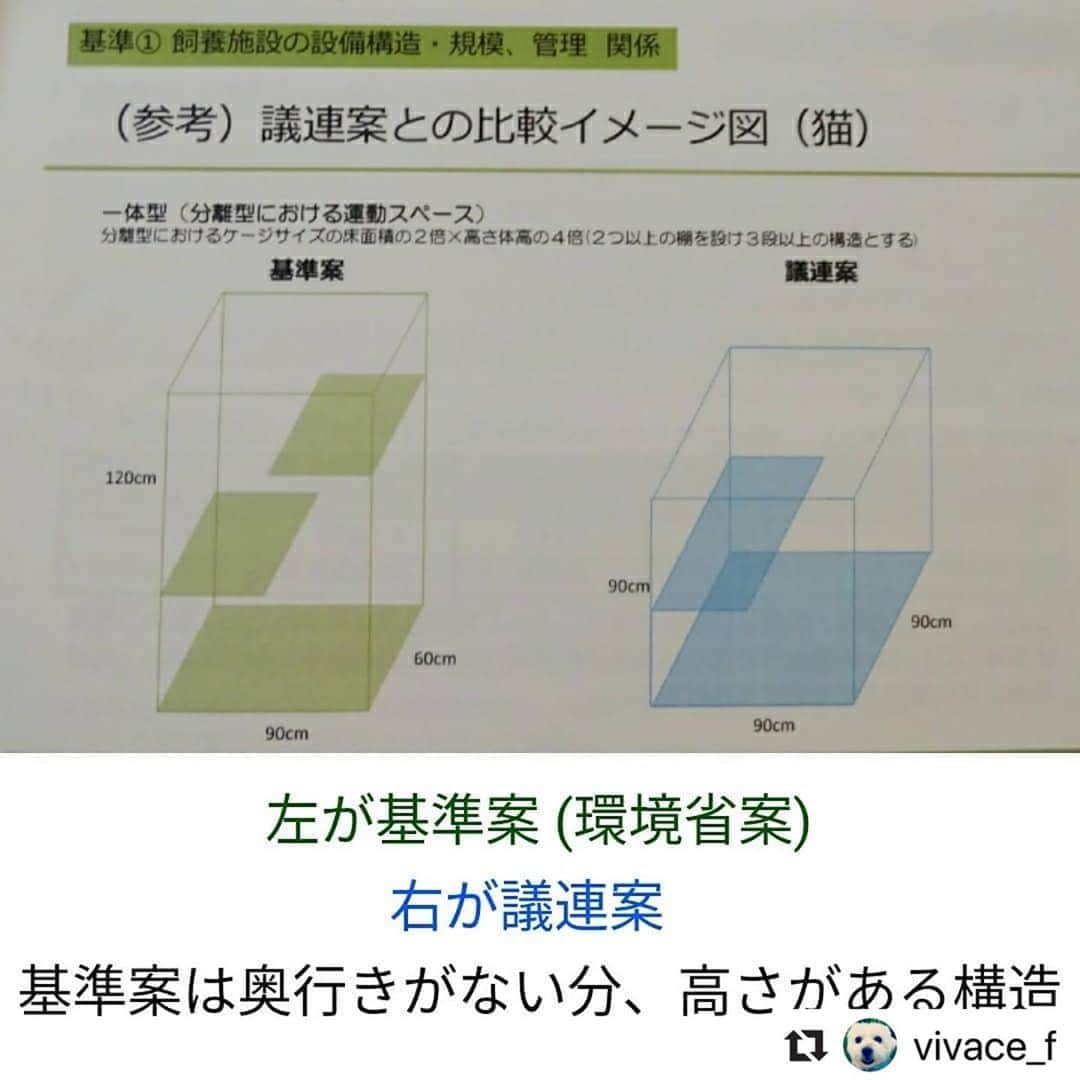 二階堂ふみさんのインスタグラム写真 - (二階堂ふみInstagram)「10日に行われた検討会の内容をまとめてくださった投稿を、リポストさせて頂きます！ @vivace_f さん、ありがとうございます。  #Repost @vivace_f with @make_repost ・・・ 結論から言うと、石山恒氏が提示していた虐待レベルの数値規制案は却下されました🎉 . 皆様のハガキアクションやメールアクションのおかげで、検討会委員も前回より活発に議論されていました。 . 環境省はかなり改善された数値を提示してくださいましたが、まだまだ改善すべき点があります。 . 【今回の素案で⭕な点】 . ⭕ケージの大きさ (犬) タテ体長２倍 × ヨコ体長1.5倍 × 高さ体高２倍 (猫) タテ体長２倍 × ヨコ体長1.5倍 × 高さ体高３倍 (猫が上下運動できるように、棚を設け２段以上の構造とする) . ⭕運動スペースの確保 ３時間以上、スペースに出して運動させる . ⭕自治体がチェックしやすい統一的な基準を設定。事業者に対して自治体がレッドカードを出しやすい明確な基準とする . ⭕床材として金網の使用禁止 . ⭕温度計・湿度計の設置 . ⭕臭気により環境を損なわないように清潔を保つことを義務付け . ⭕自然光や照明による日照サイクルの確保の義務付け . ⭕定期的な獣医師の健康診断の義務付け . ⭕長時間展示を行う場合は６時間おきに休憩 . ⭕帝王切開は、実施した獣医師による出生証明書の交付を受けることを義務付け . ⭕被毛や爪が不適切な状態で放置しないこと . ⭕散歩や遊具を用い、人と触れ合うことを義務付ける . 【今回の素案で❌な点】 ❌メスの交配は６歳まで (満７歳未満) ただし、生涯出産回数が少ない個体は交配終了年齢を７歳とする . ❌やむを得ない帝王切開ではなく “計画的な帝王切開” について、上限回数が示されていない . ❌オスの繁殖制限や引退時期について、一切明記されていない . ❌従業員数が少ない 従業員１人あたり繁殖犬15頭、販売犬20頭まで 従業員１人あたり繁殖猫25頭、販売猫30頭まで . ❌犬のケージ内の複数飼養の例が示されているが、床面積が少なく、喧嘩やストレスの危険性もある . ❌猫のケージの高さが、理想の180cmに届かない . 急遽、夏中に再び検討会を予定しているとのこと。 福島みずほ議員は ｢この間に、もう１度議論を詰めてみる！｣ と言ってくださり、串田誠一議員からは ｢繁殖回数が多いと思うならば、“素案の繁殖回数は多い。上限〇回にすべき” と今までどおりハガキアクションを起こして｣ とアドバイスをいただきました。 . 次の検討会や動物愛護部会が開催される前に、再度ハガキアクションとメールアクションをしていただけると大変助かります🙇🏻 (記入例は、スワイプして２枚目の画像を参考になさってください) 小泉大臣・環境省の長田室長・検討会委員の７名へ、送ってください🙏🏻 お時間が無い方は小泉大臣と長田室長だけでも効果的です。 ご自身のお名前や住所は、必ずしも書く必要はありません (ちなみに私はガッツリ書いてます)。 . 📨 メールの送り先 📨 . 【環境省 動物愛護管理室】 moe@env.go.jp . 📮 ハガキの送り先 📮 . 【小泉進次郎 環境大臣】 〒100-8981 東京都千代田区永田町2-2-1 衆議院第一議員会館 314号室 ⚠️数値規制に関する全ての決定権を持っている。 . 【環境省 動物愛護管理室／長田 啓室長】 〒100-8975 東京都千代田区霞が関1-2-2 中央合同庁舎５号館 自然環境局 総務課 動物愛護管理室 ⚠️長田室長は ｢数値規制｣ を取りまとめるキーパーソン。 . 【数値規制の検討会委員７名】 ❶ 〒113-8657 東京都文京区弥生1-1-1 東京大学大学院 農学生命科学研究科 武内ゆかり 教授 ⚠️検討会の進行役。動物愛護部会のメンバーでもある。 . ❷ 〒130-8606 東京都墨田区江東橋3-3-7 一般財団法人 自然環境研究センター 戸田光彦 主席研究員 . ❸ 〒180-8602 東京都武蔵野市境南町1-7-1 日本獣医生命科学大学 獣医学部 獣医保健看護学科 水越美奈 准教授 ⚠️動物愛護部会のメンバーでもある。 . ❹ 〒108-8345 東京都港区三田2-15-45 慶應義塾大学大学院 法務研究科 磯部 哲 教授 . ❺ 〒120-0045 東京都足立区千住桜木2-2-1 帝京科学大学 生命環境学部 アニマルサイエンス学科 加隈良枝 准教授 . ❻ 〒391-0112 長野県諏訪郡原村17217-118 八ヶ岳中央農業実践大学校 佐藤衆介 畜産部長 . ❼ 〒160-0022 東京都新宿区新宿1-6-11 水野ビル６階 渋谷総合法律事務所 渋谷 寛 所長 . #世界基準の数値規制 #動物のための数値規制を #数値規制 #ハガキアクション #私たちにできること #SNSでできること #ペットショップに行く前に #里親になろう #犬猫適正飼養推進協議会 #マースジャパン #環境省 #小泉進次郎 @christeltakigawa #保護犬 #いぬ #愛犬 #わんこ #わんすたぐら」7月12日 9時19分 - fumi_nikaido