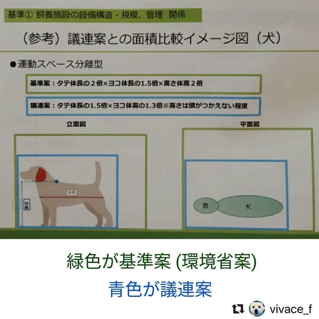 二階堂ふみさんのインスタグラム写真 - (二階堂ふみInstagram)「10日に行われた検討会の内容をまとめてくださった投稿を、リポストさせて頂きます！ @vivace_f さん、ありがとうございます。  #Repost @vivace_f with @make_repost ・・・ 結論から言うと、石山恒氏が提示していた虐待レベルの数値規制案は却下されました🎉 . 皆様のハガキアクションやメールアクションのおかげで、検討会委員も前回より活発に議論されていました。 . 環境省はかなり改善された数値を提示してくださいましたが、まだまだ改善すべき点があります。 . 【今回の素案で⭕な点】 . ⭕ケージの大きさ (犬) タテ体長２倍 × ヨコ体長1.5倍 × 高さ体高２倍 (猫) タテ体長２倍 × ヨコ体長1.5倍 × 高さ体高３倍 (猫が上下運動できるように、棚を設け２段以上の構造とする) . ⭕運動スペースの確保 ３時間以上、スペースに出して運動させる . ⭕自治体がチェックしやすい統一的な基準を設定。事業者に対して自治体がレッドカードを出しやすい明確な基準とする . ⭕床材として金網の使用禁止 . ⭕温度計・湿度計の設置 . ⭕臭気により環境を損なわないように清潔を保つことを義務付け . ⭕自然光や照明による日照サイクルの確保の義務付け . ⭕定期的な獣医師の健康診断の義務付け . ⭕長時間展示を行う場合は６時間おきに休憩 . ⭕帝王切開は、実施した獣医師による出生証明書の交付を受けることを義務付け . ⭕被毛や爪が不適切な状態で放置しないこと . ⭕散歩や遊具を用い、人と触れ合うことを義務付ける . 【今回の素案で❌な点】 ❌メスの交配は６歳まで (満７歳未満) ただし、生涯出産回数が少ない個体は交配終了年齢を７歳とする . ❌やむを得ない帝王切開ではなく “計画的な帝王切開” について、上限回数が示されていない . ❌オスの繁殖制限や引退時期について、一切明記されていない . ❌従業員数が少ない 従業員１人あたり繁殖犬15頭、販売犬20頭まで 従業員１人あたり繁殖猫25頭、販売猫30頭まで . ❌犬のケージ内の複数飼養の例が示されているが、床面積が少なく、喧嘩やストレスの危険性もある . ❌猫のケージの高さが、理想の180cmに届かない . 急遽、夏中に再び検討会を予定しているとのこと。 福島みずほ議員は ｢この間に、もう１度議論を詰めてみる！｣ と言ってくださり、串田誠一議員からは ｢繁殖回数が多いと思うならば、“素案の繁殖回数は多い。上限〇回にすべき” と今までどおりハガキアクションを起こして｣ とアドバイスをいただきました。 . 次の検討会や動物愛護部会が開催される前に、再度ハガキアクションとメールアクションをしていただけると大変助かります🙇🏻 (記入例は、スワイプして２枚目の画像を参考になさってください) 小泉大臣・環境省の長田室長・検討会委員の７名へ、送ってください🙏🏻 お時間が無い方は小泉大臣と長田室長だけでも効果的です。 ご自身のお名前や住所は、必ずしも書く必要はありません (ちなみに私はガッツリ書いてます)。 . 📨 メールの送り先 📨 . 【環境省 動物愛護管理室】 moe@env.go.jp . 📮 ハガキの送り先 📮 . 【小泉進次郎 環境大臣】 〒100-8981 東京都千代田区永田町2-2-1 衆議院第一議員会館 314号室 ⚠️数値規制に関する全ての決定権を持っている。 . 【環境省 動物愛護管理室／長田 啓室長】 〒100-8975 東京都千代田区霞が関1-2-2 中央合同庁舎５号館 自然環境局 総務課 動物愛護管理室 ⚠️長田室長は ｢数値規制｣ を取りまとめるキーパーソン。 . 【数値規制の検討会委員７名】 ❶ 〒113-8657 東京都文京区弥生1-1-1 東京大学大学院 農学生命科学研究科 武内ゆかり 教授 ⚠️検討会の進行役。動物愛護部会のメンバーでもある。 . ❷ 〒130-8606 東京都墨田区江東橋3-3-7 一般財団法人 自然環境研究センター 戸田光彦 主席研究員 . ❸ 〒180-8602 東京都武蔵野市境南町1-7-1 日本獣医生命科学大学 獣医学部 獣医保健看護学科 水越美奈 准教授 ⚠️動物愛護部会のメンバーでもある。 . ❹ 〒108-8345 東京都港区三田2-15-45 慶應義塾大学大学院 法務研究科 磯部 哲 教授 . ❺ 〒120-0045 東京都足立区千住桜木2-2-1 帝京科学大学 生命環境学部 アニマルサイエンス学科 加隈良枝 准教授 . ❻ 〒391-0112 長野県諏訪郡原村17217-118 八ヶ岳中央農業実践大学校 佐藤衆介 畜産部長 . ❼ 〒160-0022 東京都新宿区新宿1-6-11 水野ビル６階 渋谷総合法律事務所 渋谷 寛 所長 . #世界基準の数値規制 #動物のための数値規制を #数値規制 #ハガキアクション #私たちにできること #SNSでできること #ペットショップに行く前に #里親になろう #犬猫適正飼養推進協議会 #マースジャパン #環境省 #小泉進次郎 @christeltakigawa #保護犬 #いぬ #愛犬 #わんこ #わんすたぐら」7月12日 9時19分 - fumi_nikaido