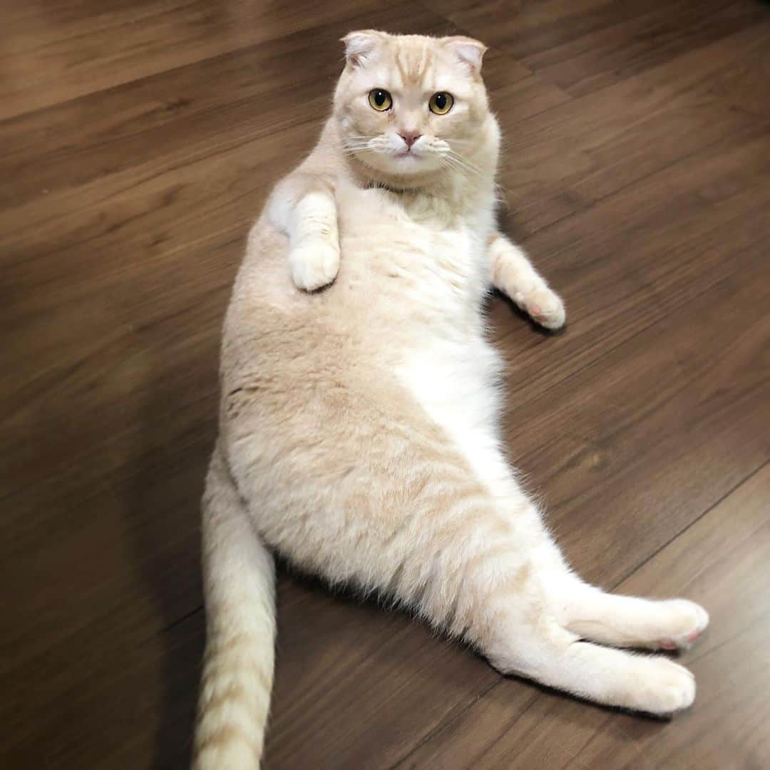 金太のインスタグラム