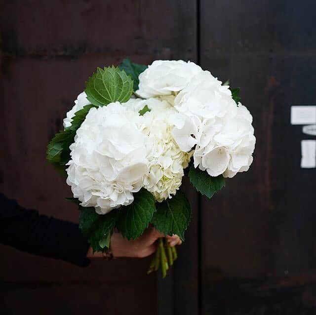 JF flower Shopさんのインスタグラム写真 - (JF flower ShopInstagram)「수국 ❤️  . . . .#2020jfflowershop #jfflowershop #flower #florist #floral #flowerlesson #koreanflorist #flowerstagram  #koreanflower  #웨딩부케 #플로리스트 #플로리스트수업 #플라워레슨#핸드타이드  #범계플라워레슨 #안양웨딩 #플라워레슨 #꽃꽂이수업 #안양꽃집 #범계꽃집 #평촌꽃집 #과천꽃집 #인덕원꽃집 #동편마을꽃집 #포일동꽃집 #내손동꽃집  #의왕꽃집 #花#花艺设计」7月12日 10時57分 - jfflowershop
