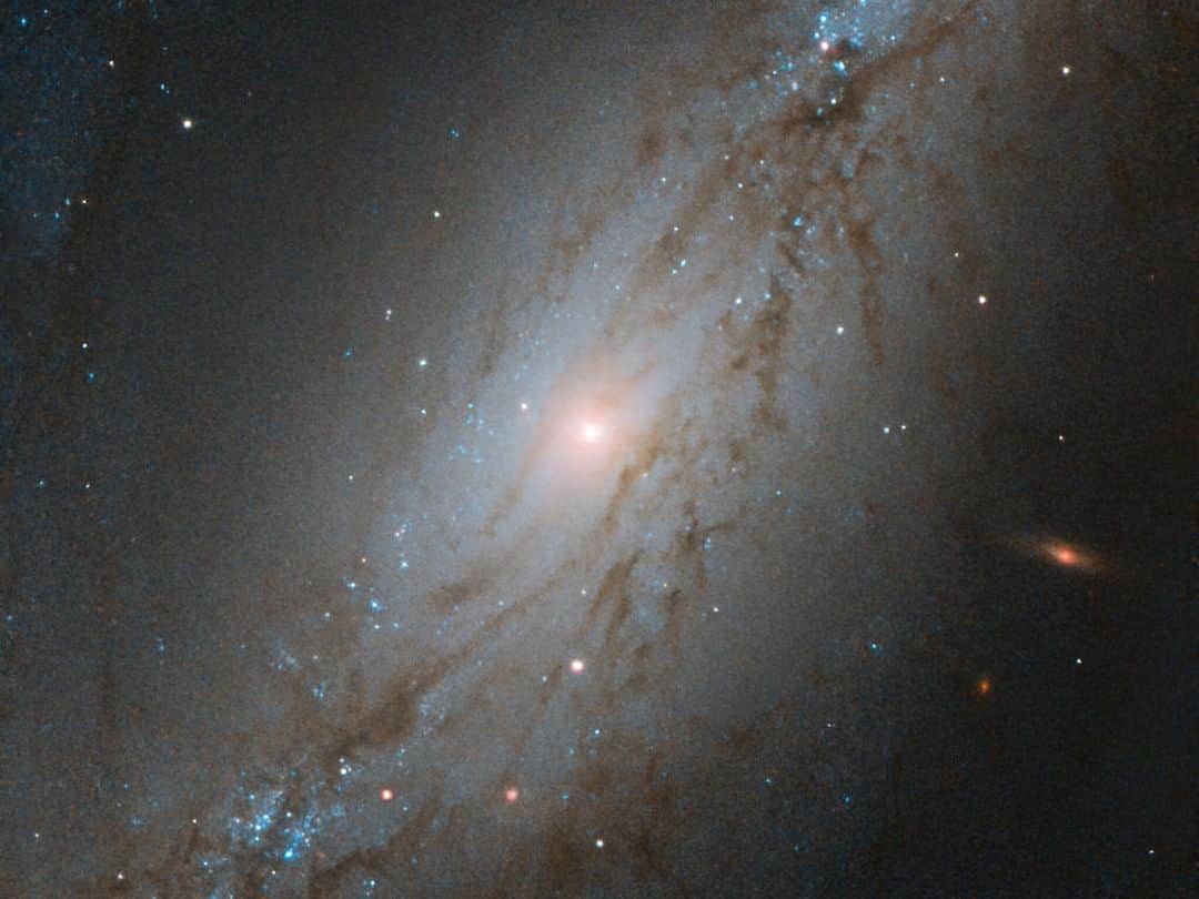 NASAさんのインスタグラム写真 - (NASAInstagram)「Captured by @NASAHubble, this image shows NGC 7513, a barred spiral galaxy. Located approximately 60 million light-years away, NGC 7513 lies within the Sculptor constellation in the Southern Hemisphere.   This galaxy is moving at the astounding speed of 972 miles per second, and it is heading away from us. For context, Earth orbits the Sun at about 19 miles per second. Though NGC 7513’s apparent movement away from the Milky Way might seem strange, it is not that unusual.   While some galaxies, like the Milky Way and the Andromeda galaxy, are caught in each other’s gravitational pull and will eventually merge together, the vast majority of galaxies in our universe appear to be moving away from each other. This phenomenon is due to the expansion of the universe, and it is the space between galaxies that is stretching, rather than the galaxies themselves moving.  Image credit: ESA/Hubble & NASA, M. Stiavelli #nasagoddard #Hubble #space #science #astronomy #spaceimage #spacepic #nasa」7月12日 11時08分 - nasagoddard