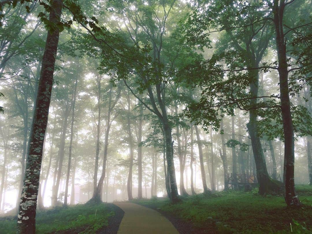 白馬岩岳スノーフィールドのインスタグラム