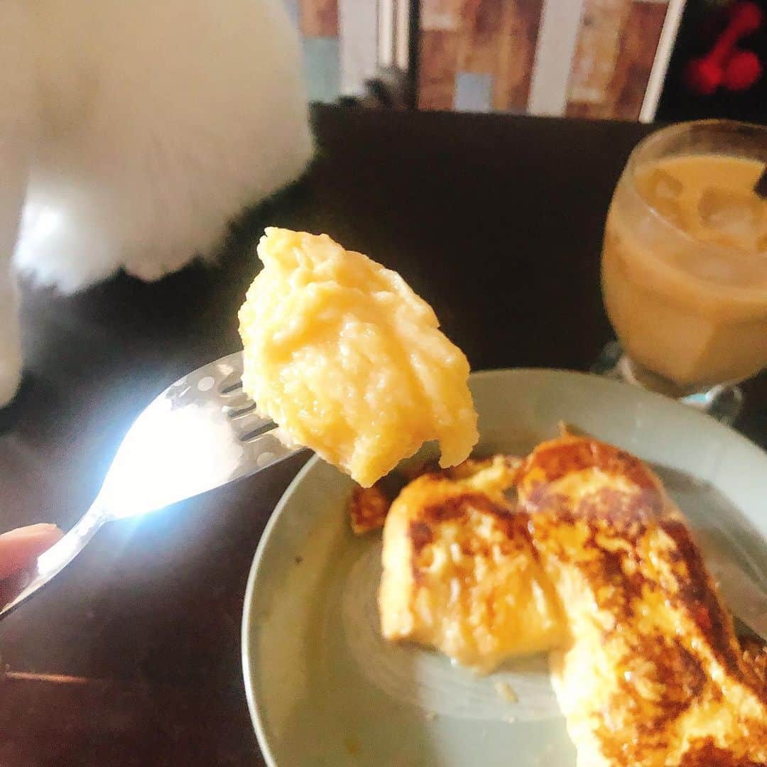 東出真緒さんのインスタグラム写真 - (東出真緒Instagram)「猫とカフェオレとフレンチトーストな日々。 . #うちのニノ君  #フレンチトースト  #まおパンログ #三度の飯よりパンが好き  #パン #パン屋 #パン屋巡り #パンスタグラム  #bakery #bread #japan #パン好き #パン部 #パン好きな人と繋がりたい #🥖」7月12日 11時50分 - mao_bigmama_vn