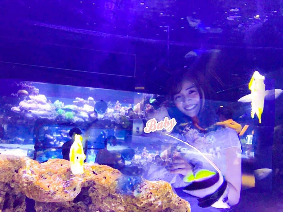 のインスタグラム：「. 昨日は家族で私が大好きな #すみだ水族館 へ行ってきました🐠❤️ . 入り口で自働の検温をしたり (赤ちゃんはよくある 額に当てるタイプでした💡) 土曜日にしては人が少なくて、 (雨がパラパラ降ったり 止んだりしてたからかな🤔？？) ゆっくりと安心して楽しめました🥰 . 娘も魚に興味津々で、 大きくて素早いオットセイは 怖がっていてそれも新しい発見で、 とても良い刺激になったと思います🤗✨ . 私はチンアナゴが可愛くて大好きで😍 すみだ水族館のチンアナゴはたくさんいて 展示の仕方も見やすくとーっても 可愛いのでオススメです🤗🌸 金魚やクラゲも幻想的で癒されました✨✨ . 本当は上野動物園へ行こうと思ったのですが 予約制で当日は入れないということで💦 すみだ水族館へ🐠❤️ スカイツリーも予約なしで行けるけど 娘が寝てしまったのでまた今度のお楽しみに😴 . 動物園もスカイツリーも またリベンジしたいと思います😊🌟 娘の水族館デビューでリフレッシュできて 楽しい休日でした☺️🌼 . 今日は暑くなるようなので 熱中症などに気を付けて 過ごしてくださいね❣️ . have a nice day!🌈 . #水族館 #水族館デビュー #生後9ヶ月 #生後282日 #子連れおでかけ #令和元年ベビー #10月生まれ #赤ちゃんのいる生活 #女の子ママ #ベビフル #チンアナゴ #instagood #love #happy #smile #enjoy #baby #babygirl #tokyo #japan #japanesegirl #aquarium #family #followme #me #加藤雅美」