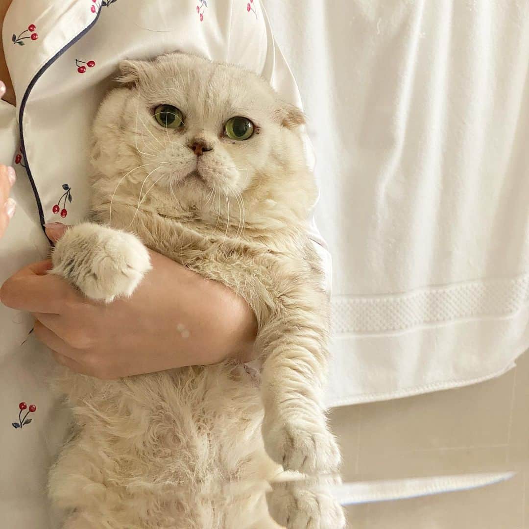 のインスタグラム：「Good morning my love. 💗 #หวานๆยามเช้า #หลังจากตบแม่เมื่อคืน」
