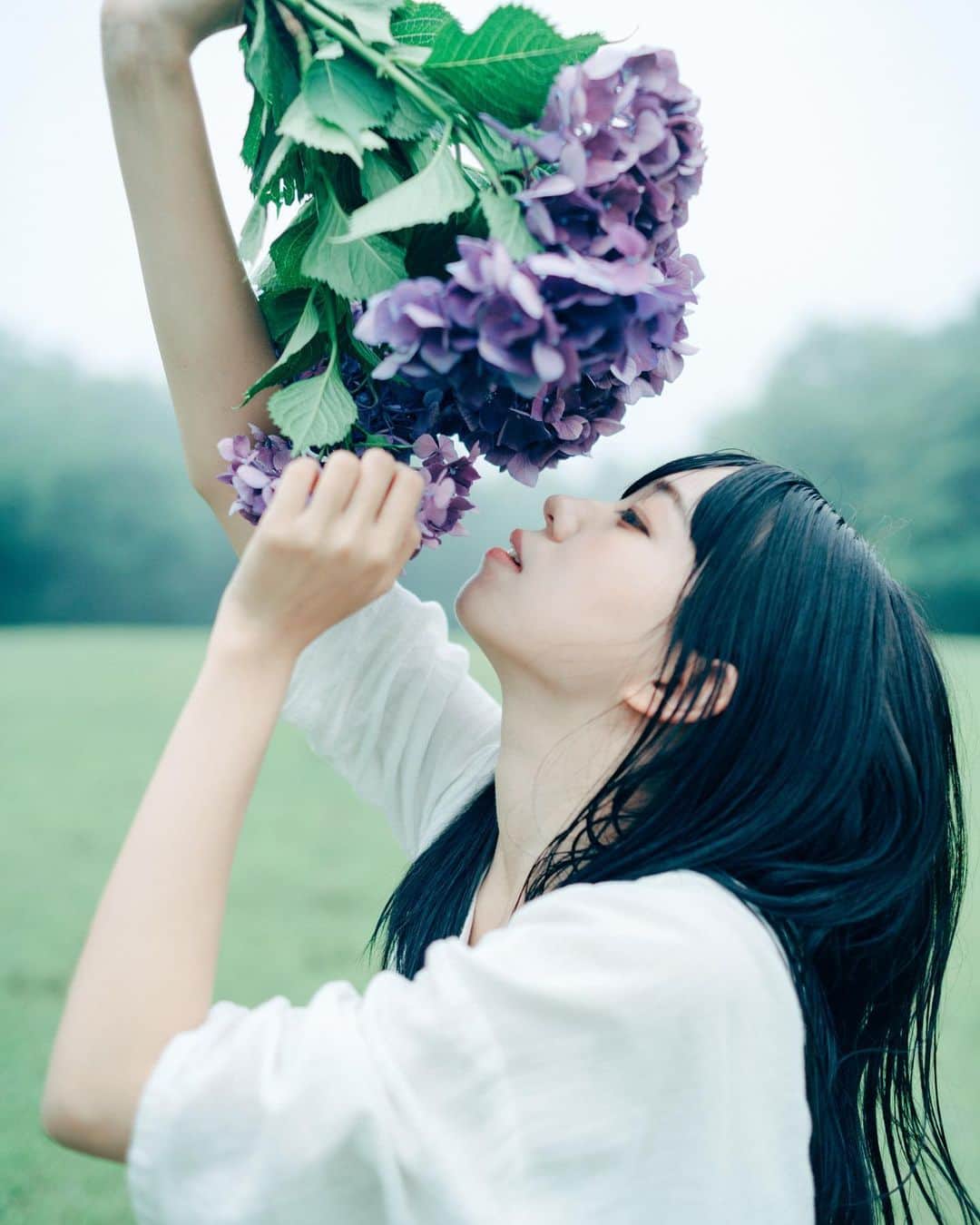 haraoのインスタグラム：「移ろい - - - #いつか見た夢の中で #vsco#紫陽花#アジサイ#あじさい#hydrangea filmphotography#analog#oldlens#cinematography#GPW_members_only#as_archive#into_the_screen#indies_gram#indy_photolife#screen_archive#curbonjp#cinesomnia#photocinematica#realismag#analoguepeople#analoguevibes#被写体募集 . #Instagram#InstagramJapan#tokyocameraclub#reco_ig#jp_mood#オールドレンズ#オールドレンズに恋をした#儚くて何処か愛おしい様な」