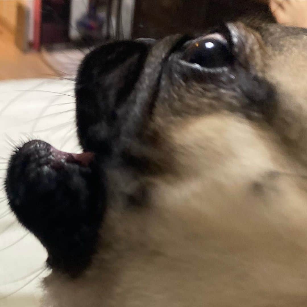 のインスタグラム