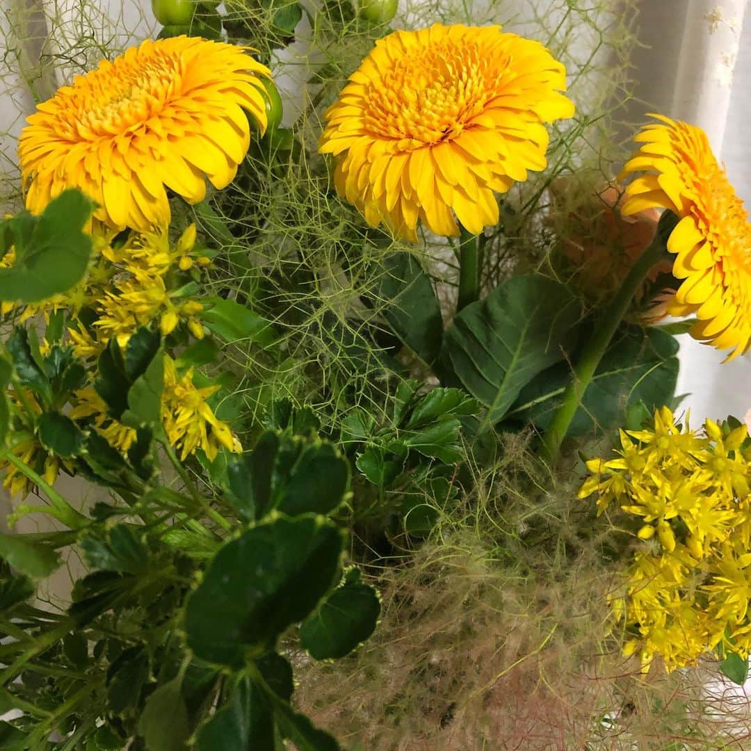 吉家章人さんのインスタグラム写真 - (吉家章人Instagram)「‪花を飾るだけでこんなに気分が良くなるなんて。花の力、恐るべし🌼‬ ‪#愛を込めて花束を‬ ‪#花束‬ ‪#花を飾ろう ‬」7月12日 22時42分 - akihitoyoshiie