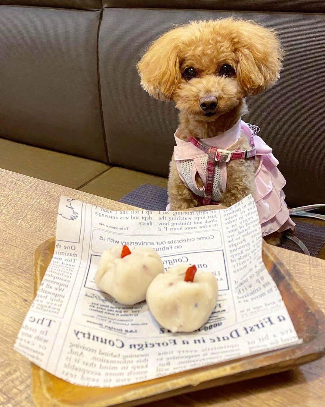 五位渕のぞみのグルメインスタ