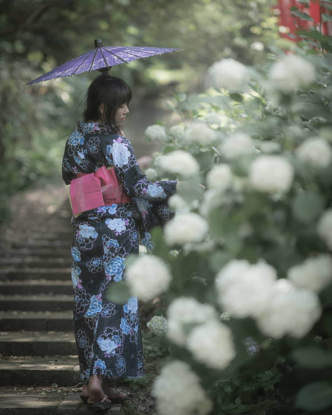 のインスタグラム：「* * 愛してる、  知られてないけない秘め事  * *  髪の毛切ってもらった✌  あじさいや　脳裏かすめる　忘れ咲き  頭があじさいじゃなくても ごぉさんはごぉさんです←  #あじさい #夏 #浴衣 #白 #花 #和服 #栃木 #ポートレート #モデル #カメラマン #作品撮り #splus_cameraclub  #かずさん写真部  #花言葉」