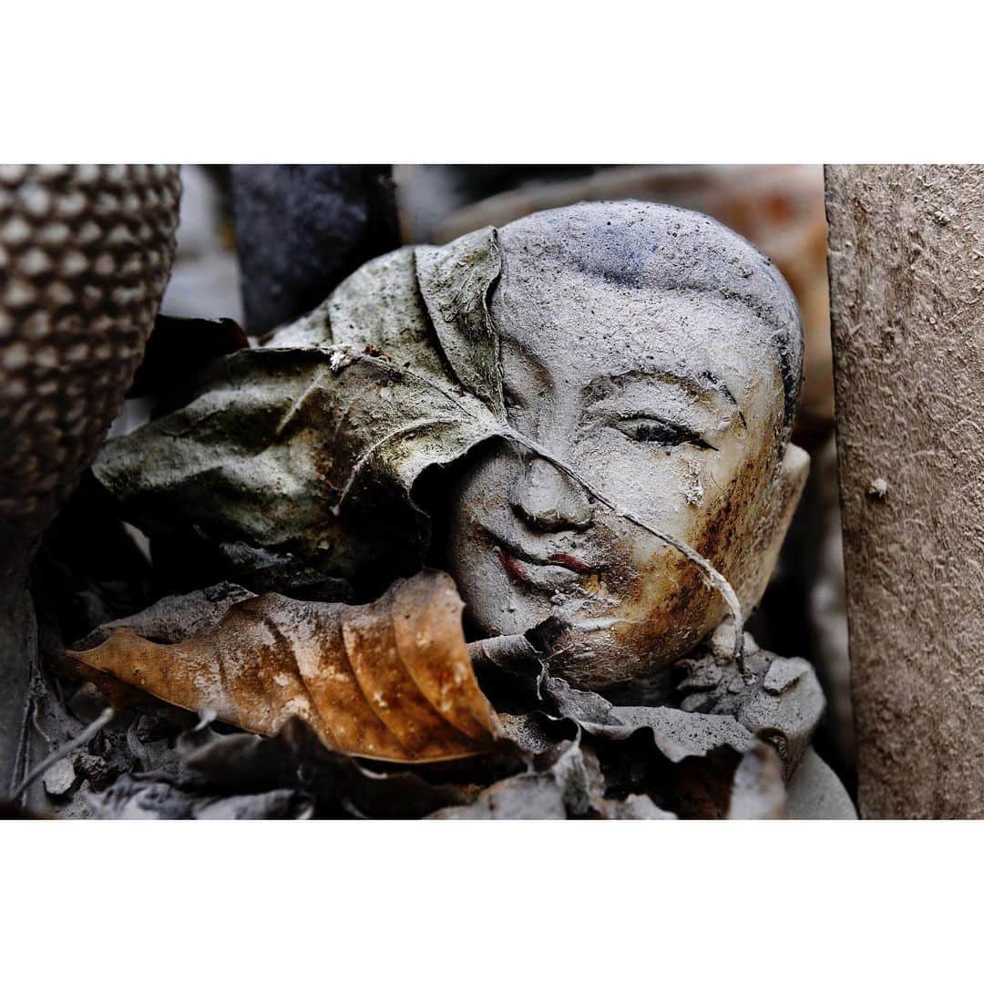 スティーブ・マカリーさんのインスタグラム写真 - (スティーブ・マカリーInstagram)「Decades of neglect throughout Myanmar (Burma) and Laos have permitted many of its sacred sites and Buddhist pagodas to crumble. Yet, in the midst of this invading rubble, the Buddha's compassionate gaze, seemingly unperturbed by the decay. 1st image: Indein Village, #Myanmar, 2011. 2nd image: Luang Prabang, #Laos, 2006. 3rd & 4th images: #Mandalay, Myanmar, 2010.  #SteveMcCurry #SteveMcCurryBuddhism」7月12日 23時08分 - stevemccurryofficial
