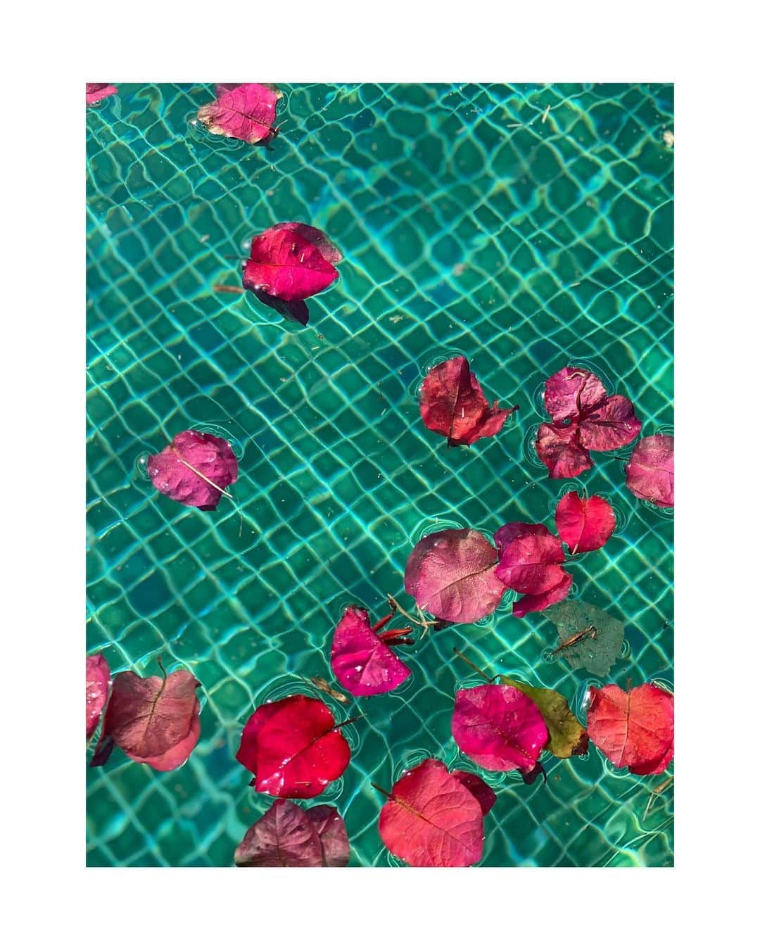 ジュリアナ・パエスさんのインスタグラム写真 - (ジュリアナ・パエスInstagram)「Cores.... #colorsstudies」7月12日 23時32分 - julianapaes