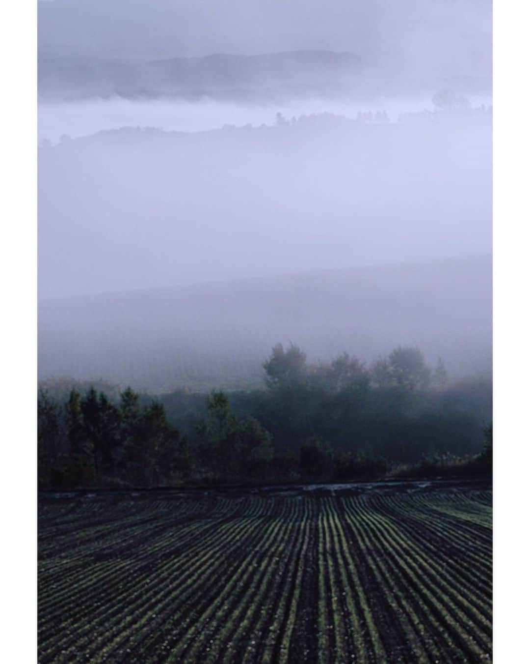 Hikaruのインスタグラム：「#inthefog  . . . 霧の中がすき。 . .  #北海道 #instagram #東京カメラ部 #tokyocameraclub #natgeo #bealpha #sonyphotography #pashadelic #team_jp #bestjapanpics #natgeo #ig_japan #natgeoyourshot #yourshotphotographer #myrrs #hellofrom #naturephotography #ig_worldclub #1x #landscapephotomag #landscapelovers #lovers_nippon #visitjapanjp #bbctravel #art_of_japan #splendid_earth #日本の絶景 #ig_great_pics #BBCtravel #ig_worldclub  .」