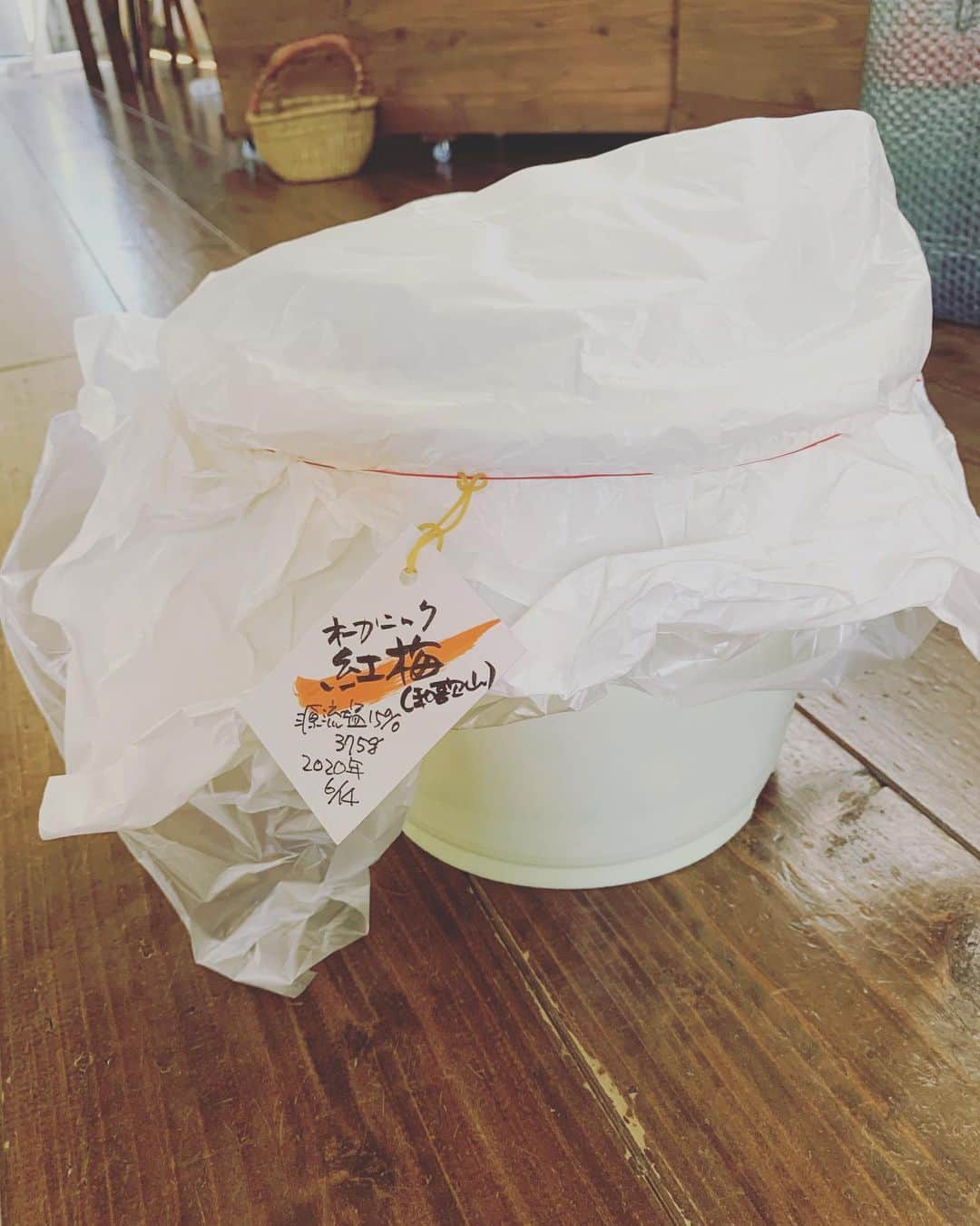 福本幸子さんのインスタグラム写真 - (福本幸子Instagram)「最近はお味噌作ったり、梅干し作ったり。そのうち醤油作り始めるかも。Home made #miso and #umeboshi #手前味噌 #手前梅」7月12日 23時57分 - okinawajudy
