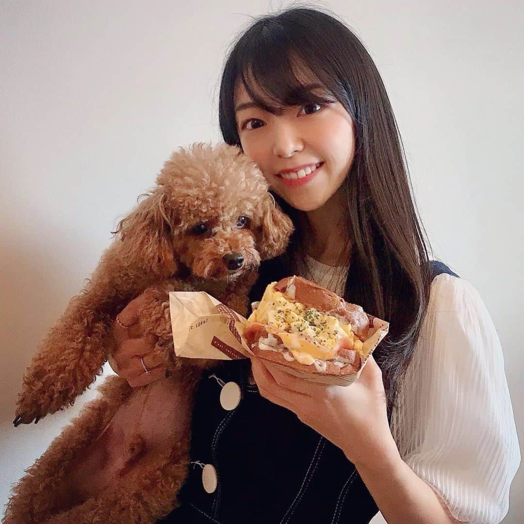 石原夕里朱のインスタグラム：「Lunch♡﻿ ﻿ 今年の3月に田町にオープンした﻿ ﻿ 韓国で人気の卵サンド専門店Egg Onへ🥚﻿ ﻿ #ダブルベーコンエッグ をチョイス🥪﻿ ﻿ ボリューミー🐷﻿ ﻿ ルヴたん🐶も興味津々😋💕﻿ ﻿ いっぱい食べたから、﻿ ﻿ 今日はジムに行こうっと！🏃‍♀️💨﻿ ﻿ #lunch #tamachi #eggon #sandwich #pet #dog #tinypoodle #poodle #petstagram #dogstagram #poodlestagram #instapoodle #instadog #lve #stayhome #enjoyhome #instagood #photooftheday #instadiary #ランチ #田町 #エッグオン #ペット #タイニープードル #プードル #ルヴ #おうち時間 #🥪 #🐶」