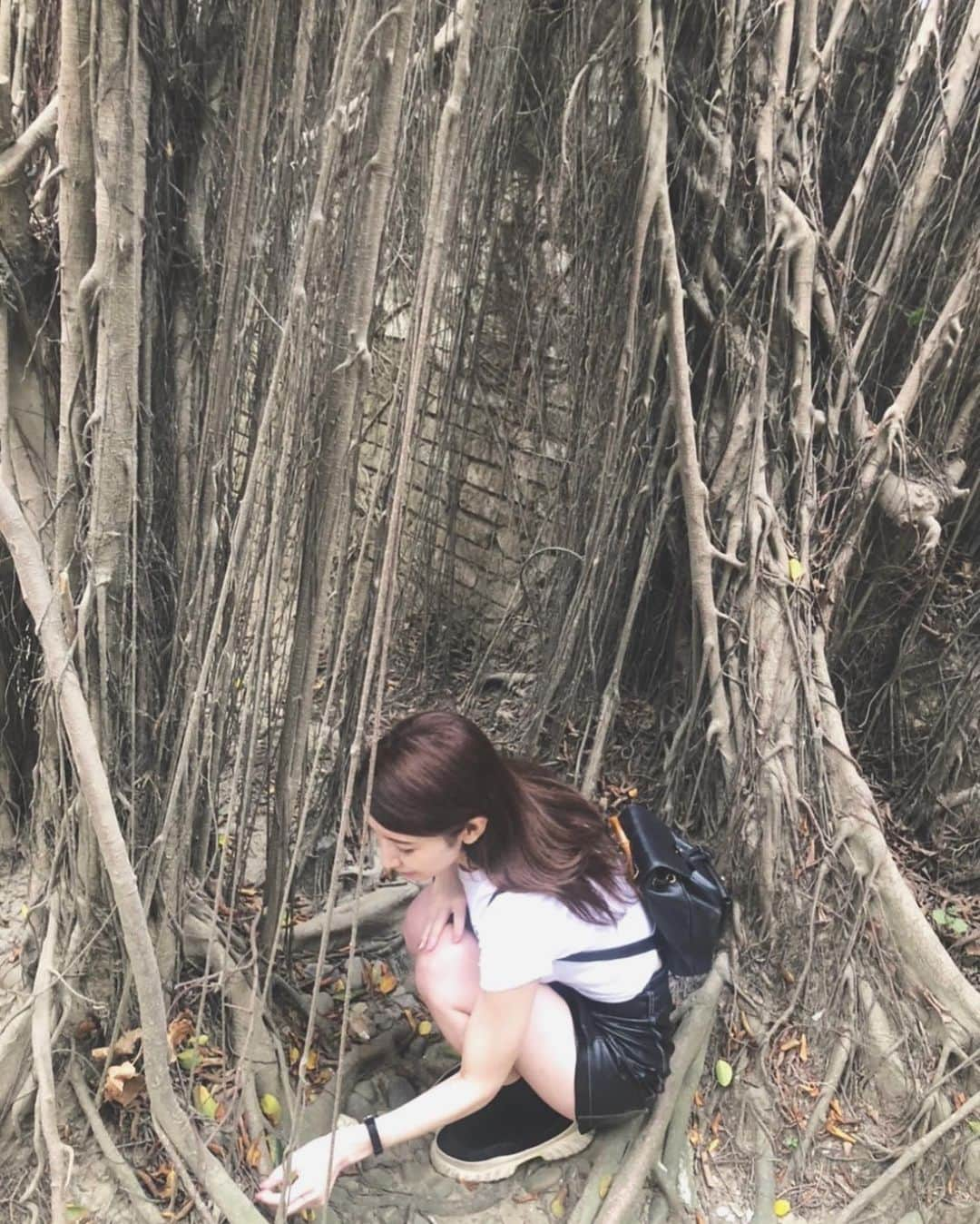 亜里沙さんのインスタグラム写真 - (亜里沙Instagram)「好感動🌳 #tainan #台南 天空の城ラピュタの世界観。静けさの中に荘厳な雰囲気もあって、立ち止まりつつ力強い木を眺めていました👀🌱 台湾最古の街安平はオランダが築いた街だそう。 レトロな町並みの建物に西洋の名残があって、とても素敵で長崎を思い出しました。長崎もすごく素敵！西洋と東洋が入り交じる雰囲気はエモくてロマンを感じて好きだな〜♡ ・ #台南安平樹屋 #alisa_in_taiwan #台湾 #台灣 #taiwan #taipei #taiwanlover #台湾生活 #台湾留学 #台湾旅行」7月12日 15時18分 - alisa_0302