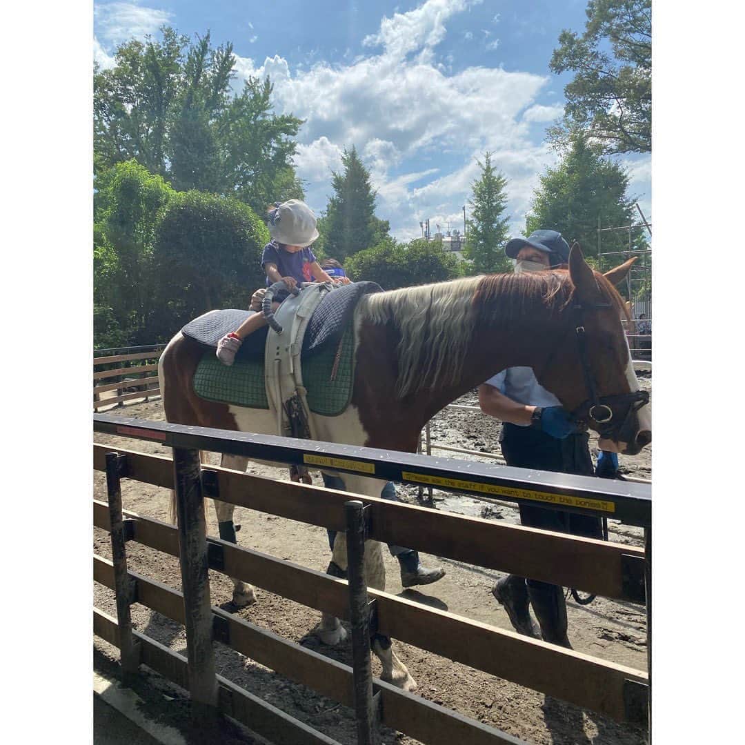 堀友理子さんのインスタグラム写真 - (堀友理子Instagram)「初めての乗馬体験🐴❤️ #ポニー公園 #もうすぐ2歳 #初めての乗馬」7月12日 15時48分 - horiyurisanpo