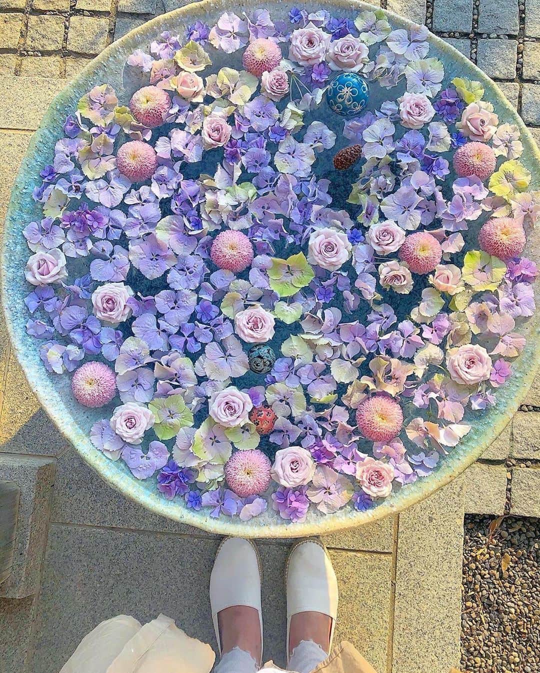 MERYのインスタグラム