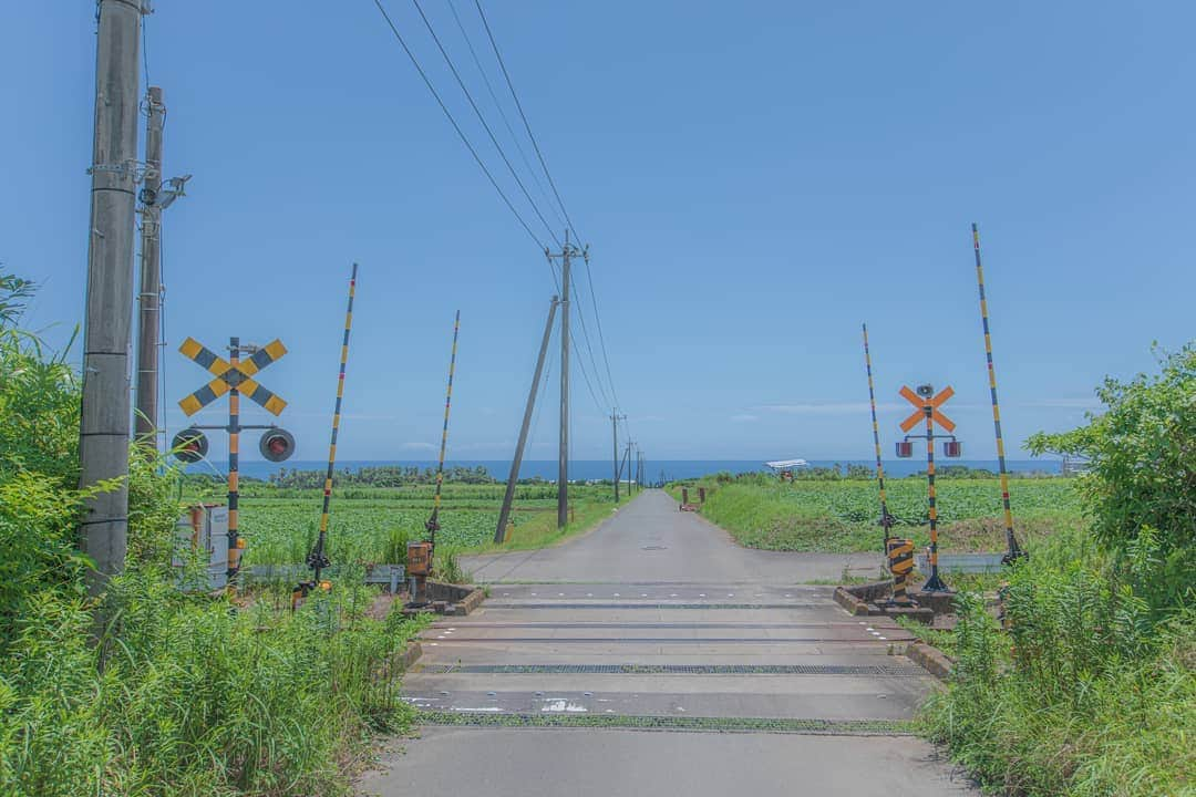 鹿児島よかもん再発見のインスタグラム