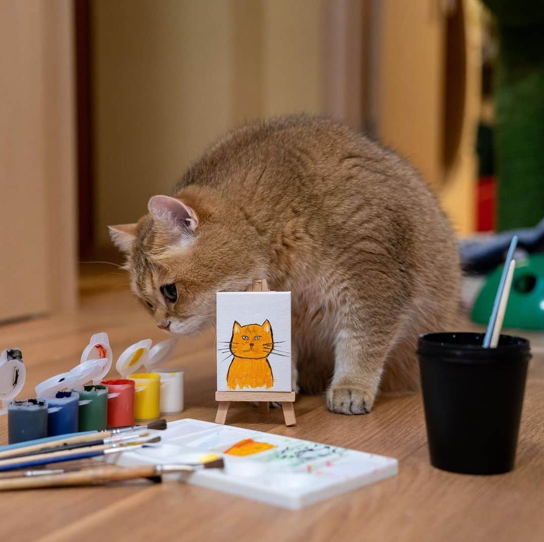 Hosicoさんのインスタグラム写真 - (HosicoInstagram)「Looks like? 🎨」7月12日 18時24分 - hosico_cat