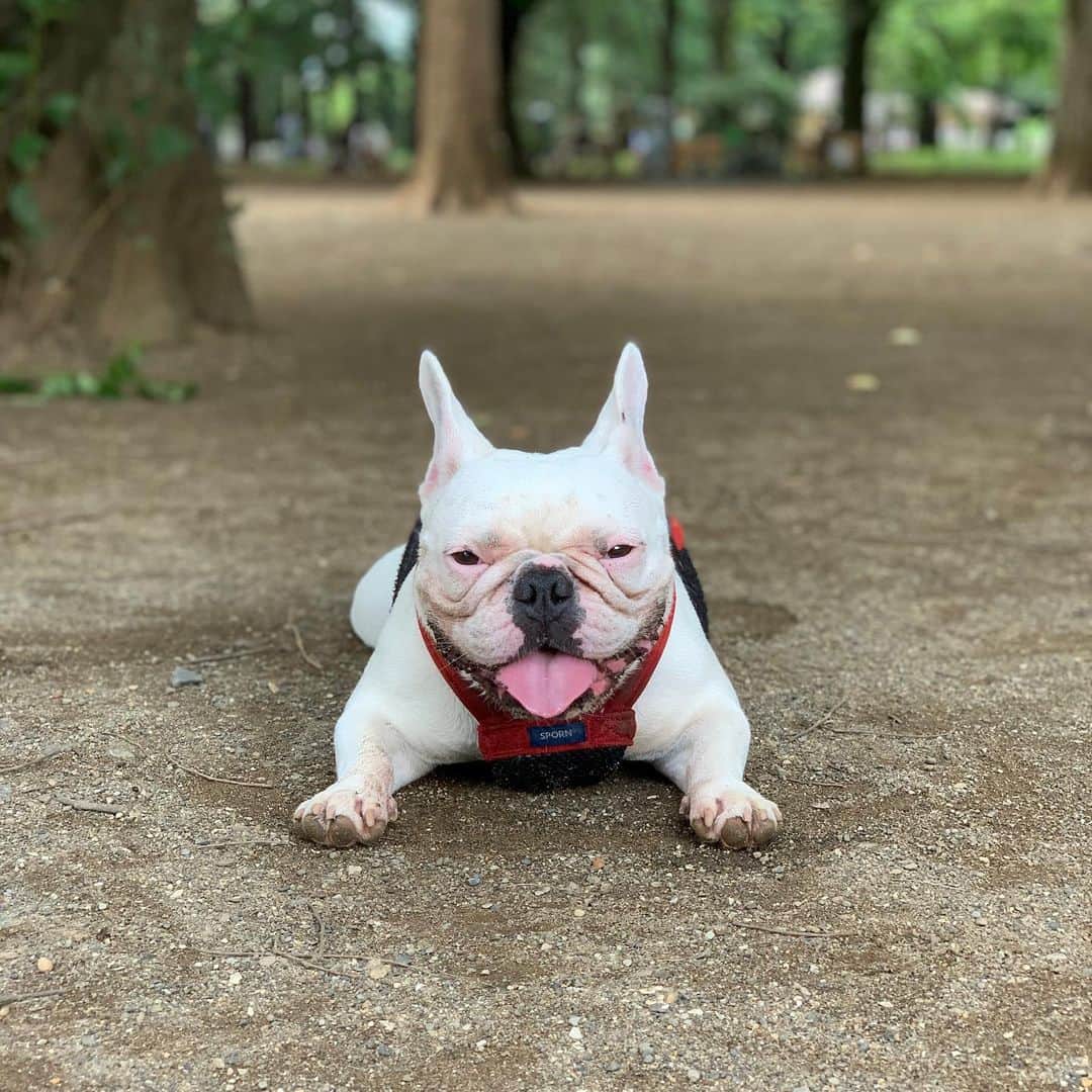 なべやかんのインスタグラム