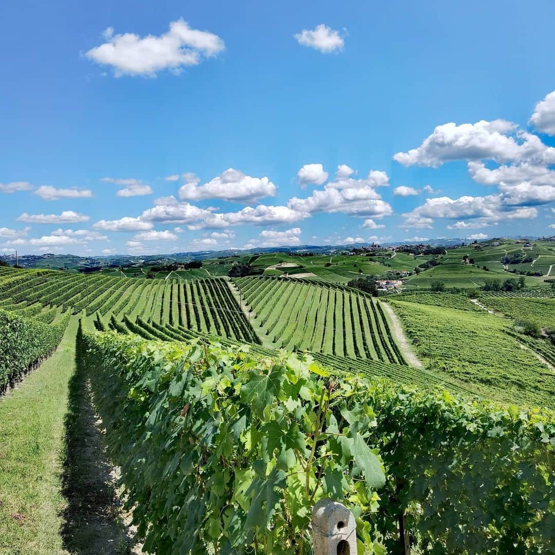クラウディオ・マルキジオさんのインスタグラム写真 - (クラウディオ・マルキジオInstagram)「La Morra 🍇🌤️📸 #amazingview #piedmont #wine」7月13日 0時13分 - marchisiocla8