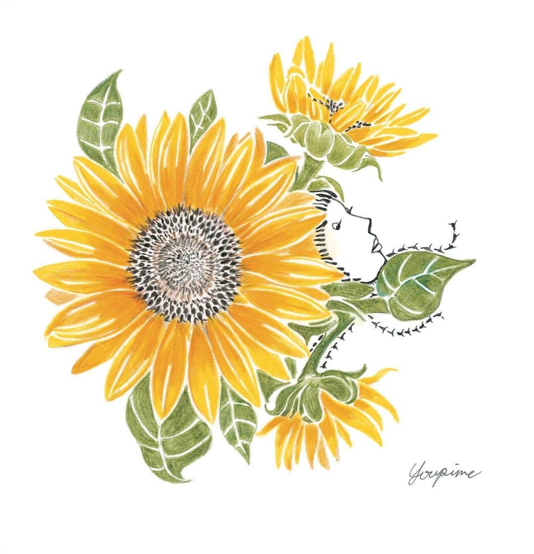 Young Juvenile Youthのインスタグラム：「GINZAで連載中の#flowersisters  出来云々はさておき、ヒマワリを描くのが今までのどのお花より難しくて何度も描き直した。 シンプルであるが故に複雑。 @ginzamagazine   向日葵を見ると祖母を思い出す。明るくてエネルギッシュで繊細。夏ですな。」