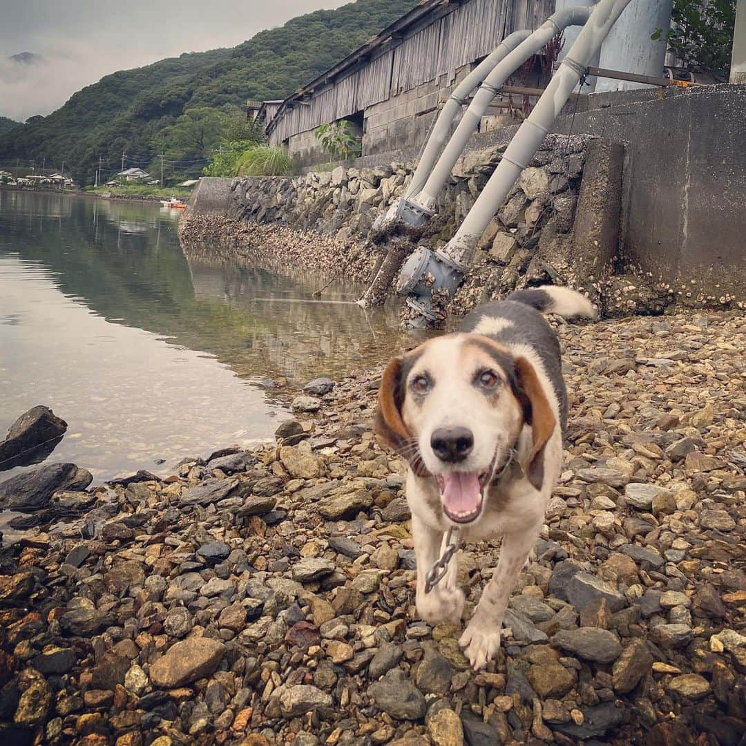 岡村咲のインスタグラム