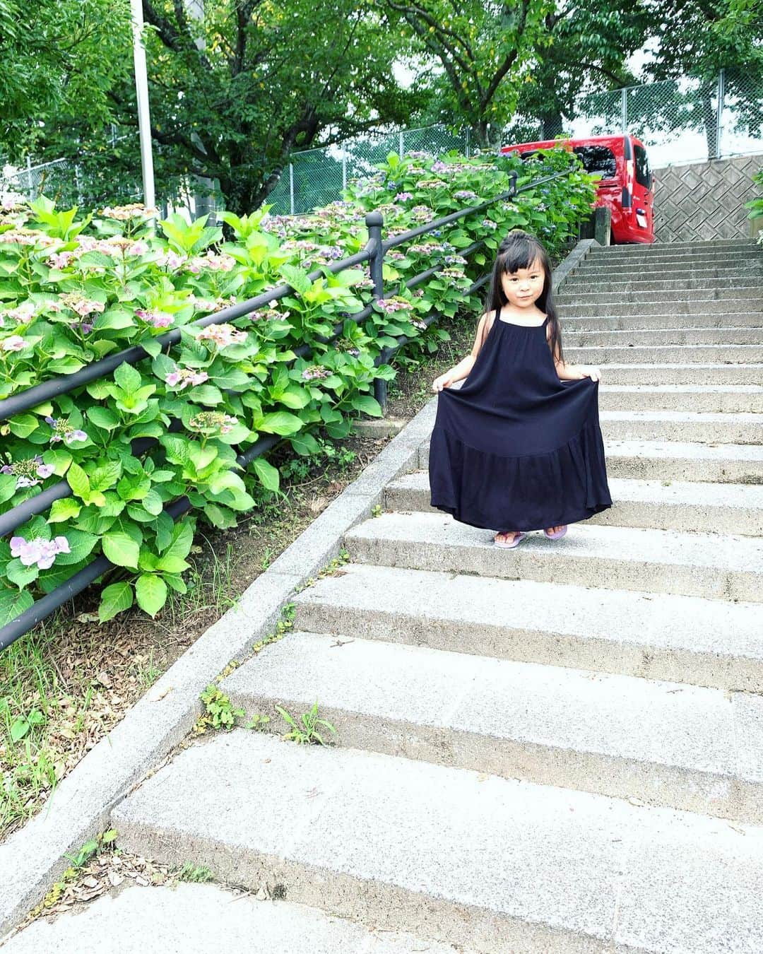 藤井惠さんのインスタグラム写真 - (藤井惠Instagram)「蓮の花🌱」7月12日 19時10分 - megumi_fujii