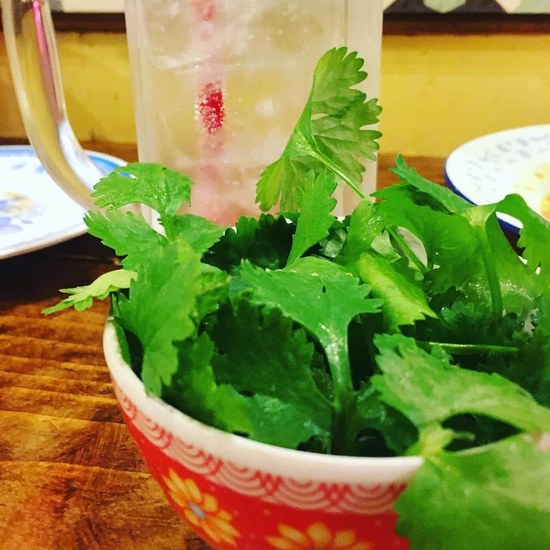 宮田麺児のインスタグラム：「パクチュー パクチー酎ハイです。  #パクチー #酎ハイ #ベトナム」