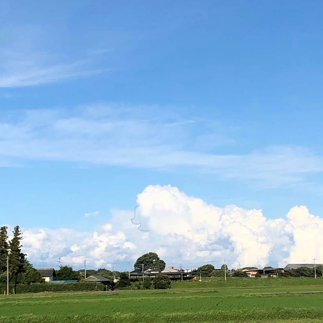 雨月衣さんのインスタグラム写真 - (雨月衣Instagram)「今日の入道雲。 プードル的な🐩🐩 二頭の生き物のような #入道雲 #雲 #何かに見える雲」7月12日 19時46分 - ugetsukoromo