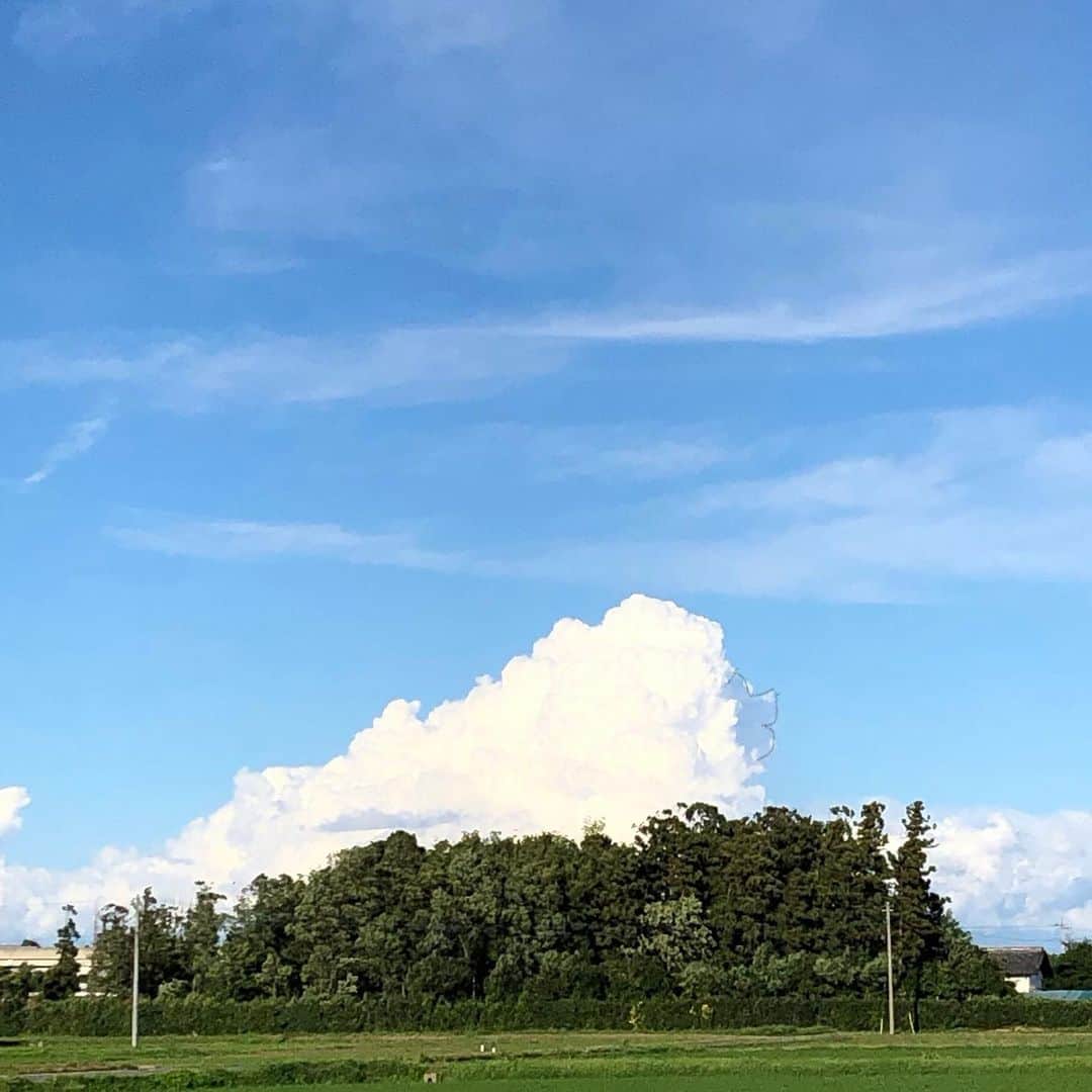 雨月衣さんのインスタグラム写真 - (雨月衣Instagram)「今日の入道雲。 プードル的な🐩🐩 二頭の生き物のような #入道雲 #雲 #何かに見える雲」7月12日 19時46分 - ugetsukoromo