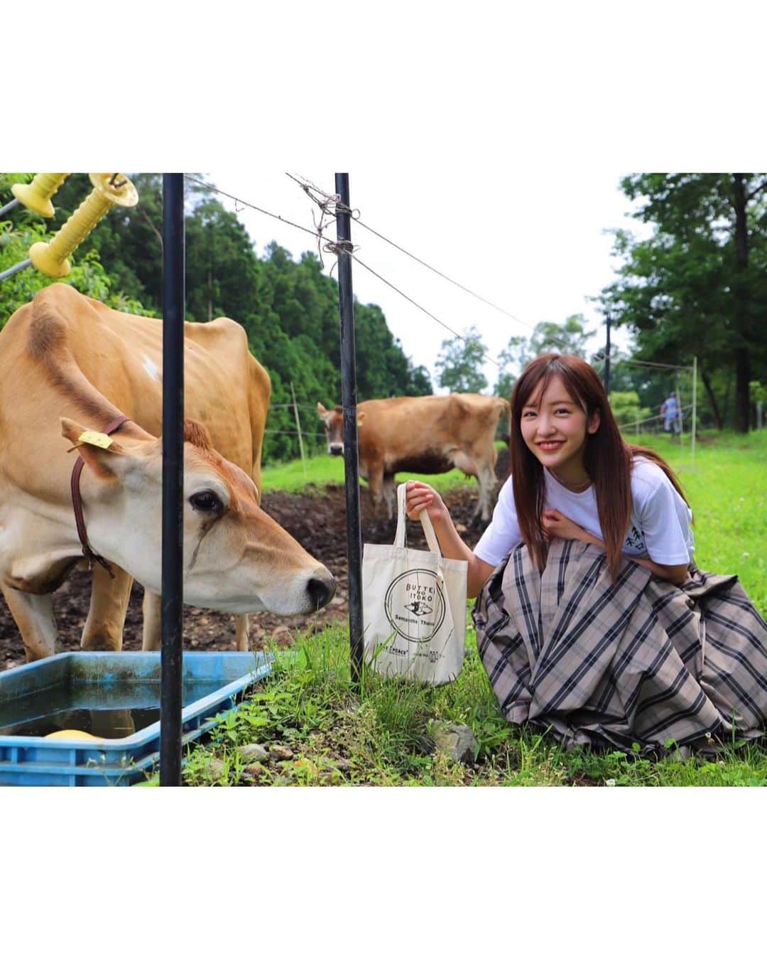 板野友美さんのインスタグラム写真 - (板野友美Instagram)「目がくりくりしてるジャージー牛は、 懐っこくて、バンビちゃんみたいで、 可愛いすぎました🐂❤️  #森林の牧場  #ジャージー牛」7月12日 20時38分 - tomo.i_0703