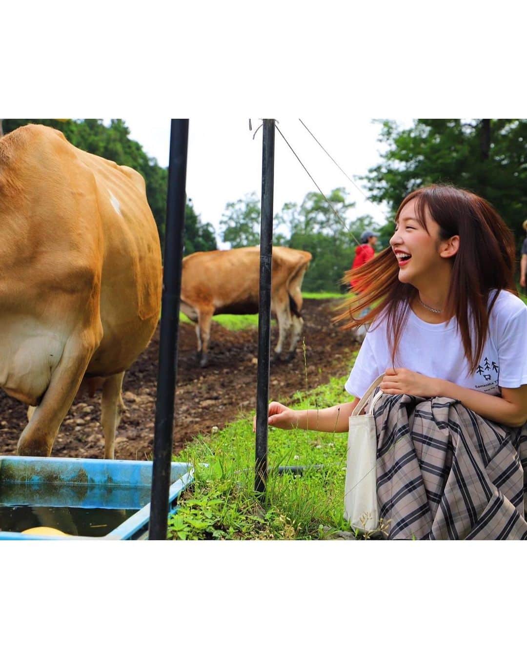 板野友美さんのインスタグラム写真 - (板野友美Instagram)「目がくりくりしてるジャージー牛は、 懐っこくて、バンビちゃんみたいで、 可愛いすぎました🐂❤️  #森林の牧場  #ジャージー牛」7月12日 20時38分 - tomo.i_0703